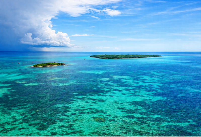 Pungume Sandbank - únik do ráje