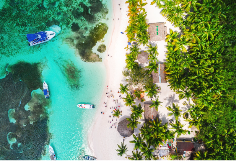 Samana s pozorováním velryb