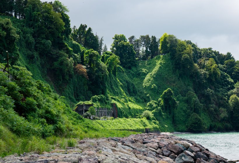 Region Samegrelo z Pałacem Dadiana i Ogrodem Botanicznym z Kutaisi