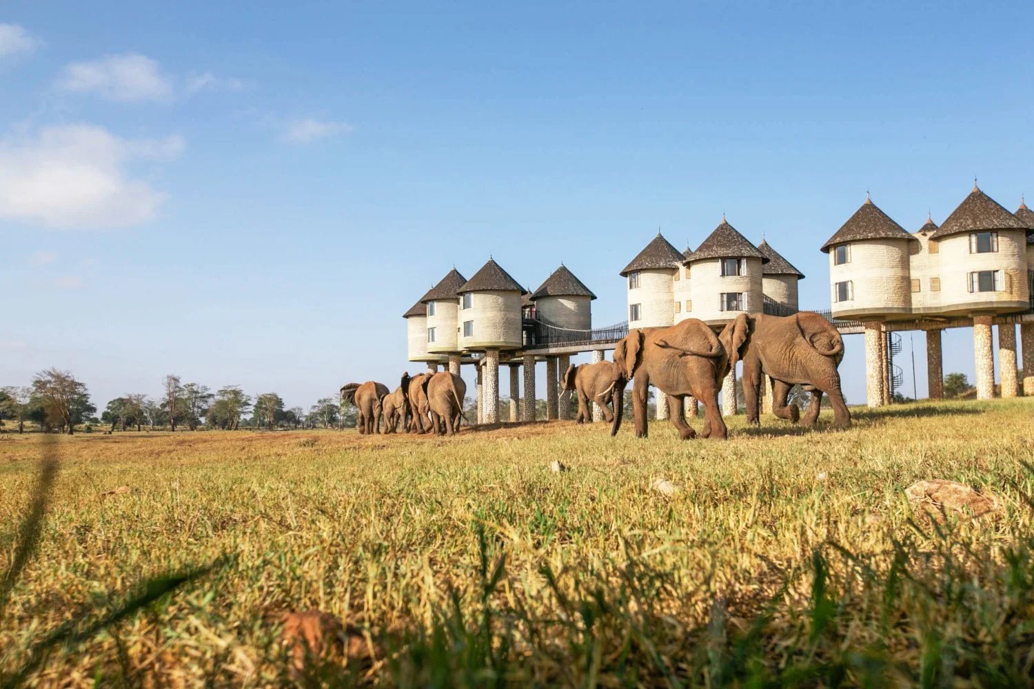 2-nočné safari – východné Tsavo a vrchy Taita