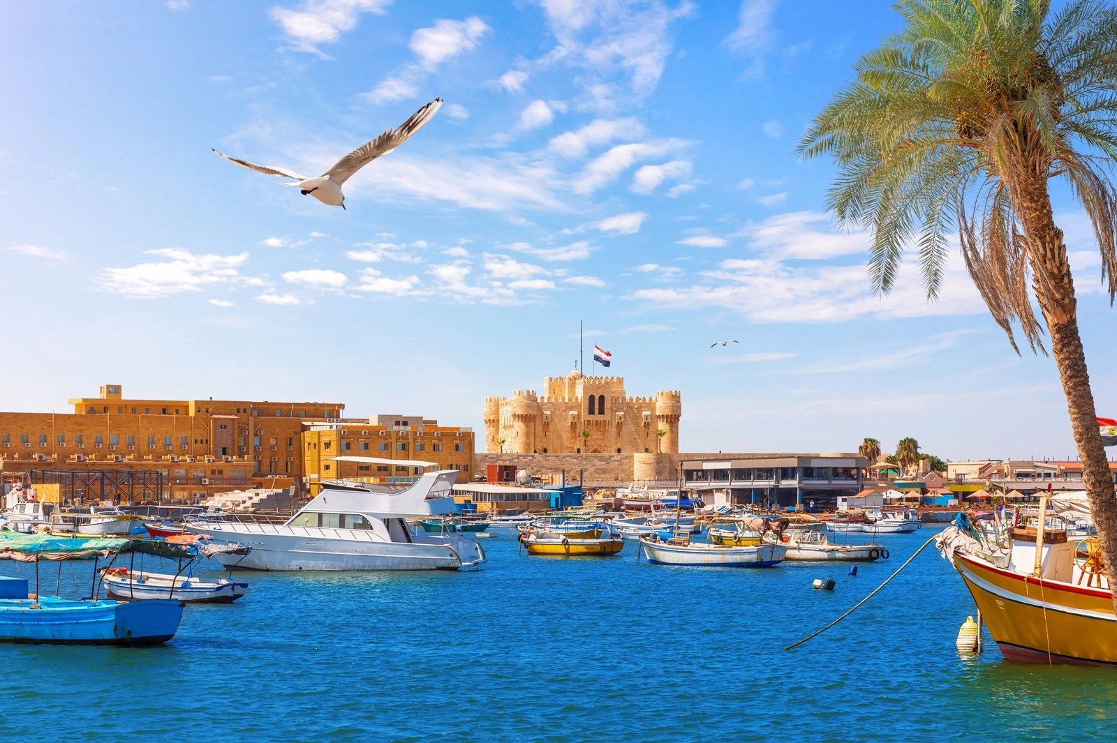 Alexandrie - Alexandrijská knihovna, katakomby a citadela Qaitbay (s polským průvodcem)