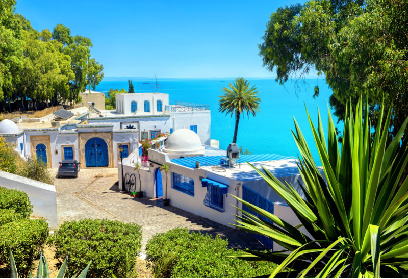 Sidi Bou Said - wycieczka popołudniowa
