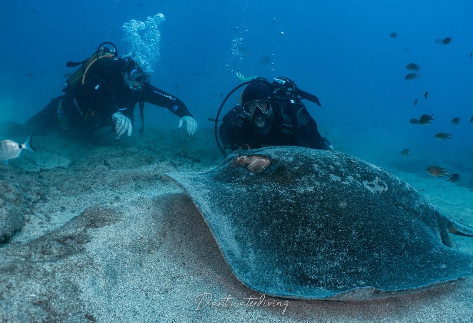 2-dniowy kurs Scuba Diver SSI - certyfikat i nurkowanie z instruktorem