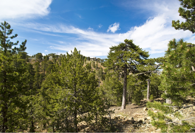 Safari Jeepem po Troodos Kykkos z Limassol