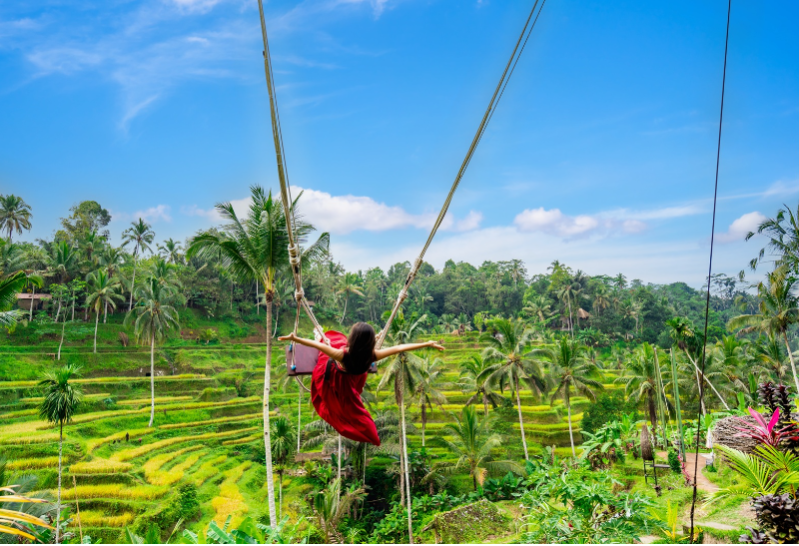 Prohlídka Ubudu – rýžové terasy Tegalalang a vodopád Goa raja