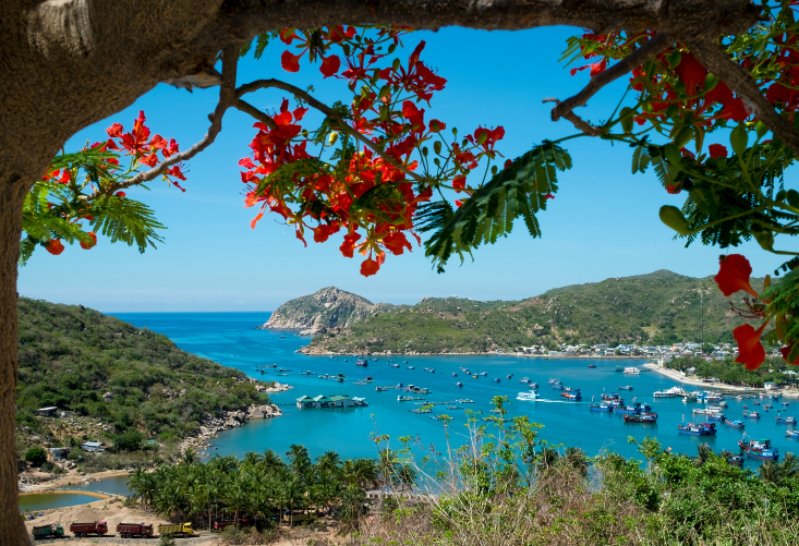 Zatoka Vinh Hy - snorkeling i ukryte skarby wybrzeża