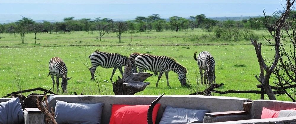 Masai Mara - 2-dňové safari v Zebra Plains Mara